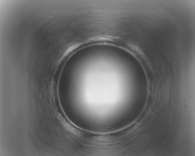 X0000081351404200701182034
