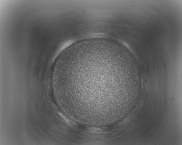 X0000081351405200701182034