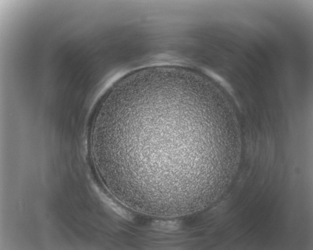 X0000081351415200701182035