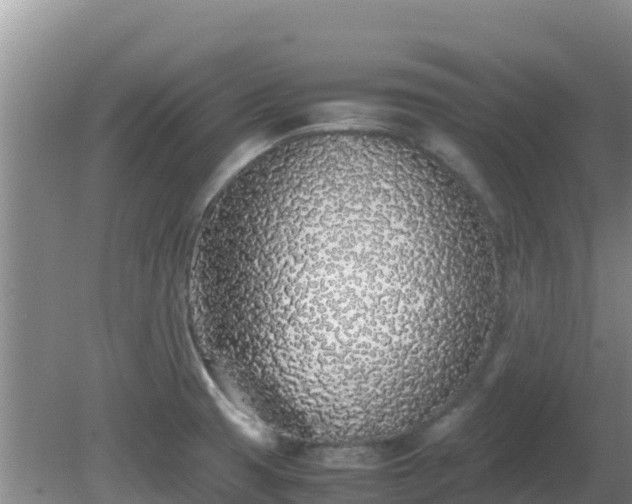 X0000081351425200701182035