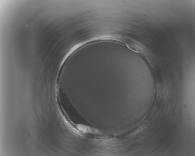 X0000081351428200701182035