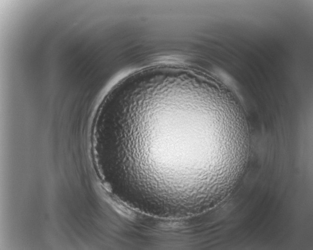 X0000081351435200701182035