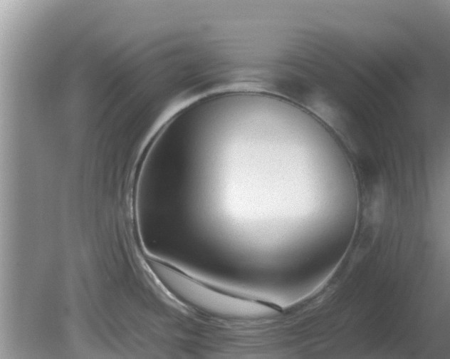 X0000081351436200701182035