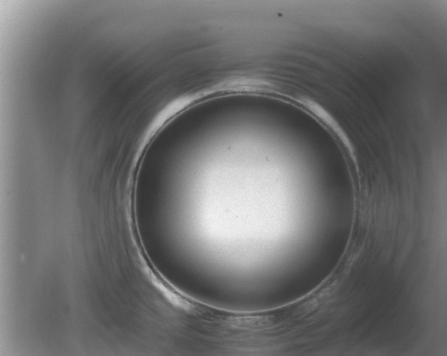 X0000081351437200701182035