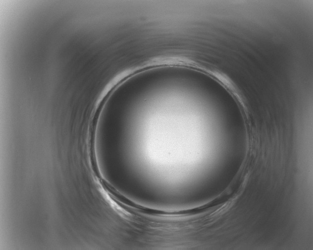 X0000081351438200701182035