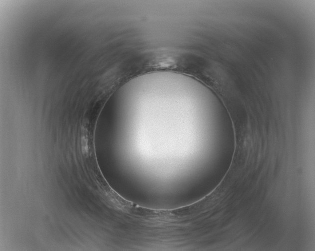 X0000081351442200701182034