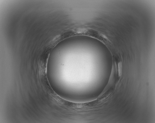X0000081351443200701182034