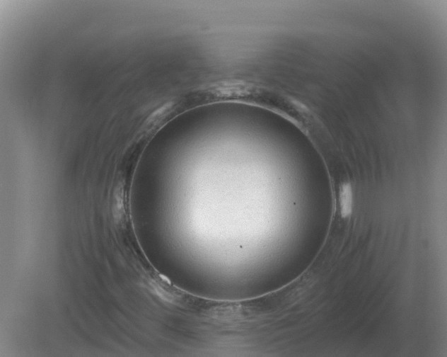 X0000081351444200701182034