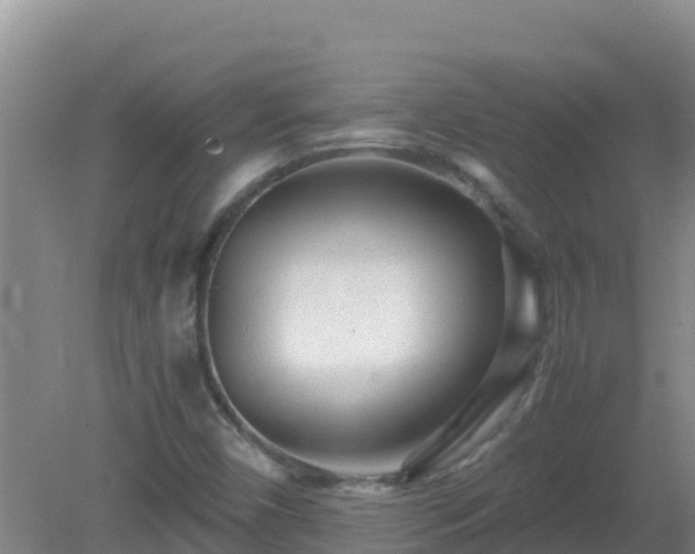 X0000081351450200701182034