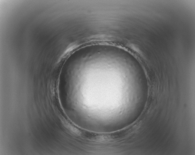 X0000081351451200701182034