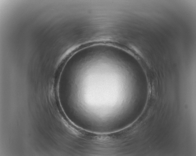 X0000081351452200701182034