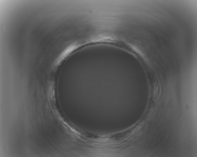 X0000081351455200701182034