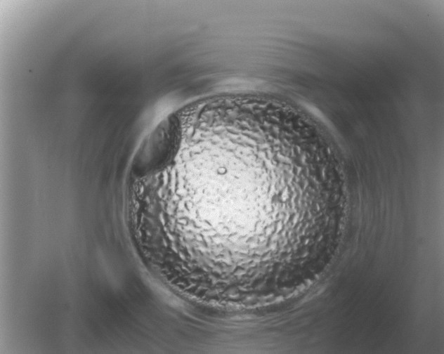 X0000081351467200701182034