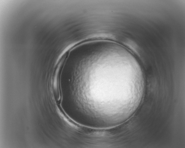 X0000081351468200701182034