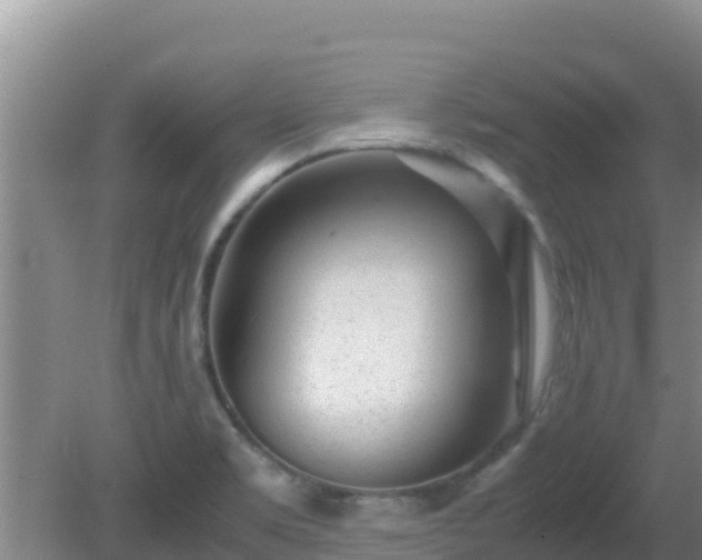 X0000081351469200701182034