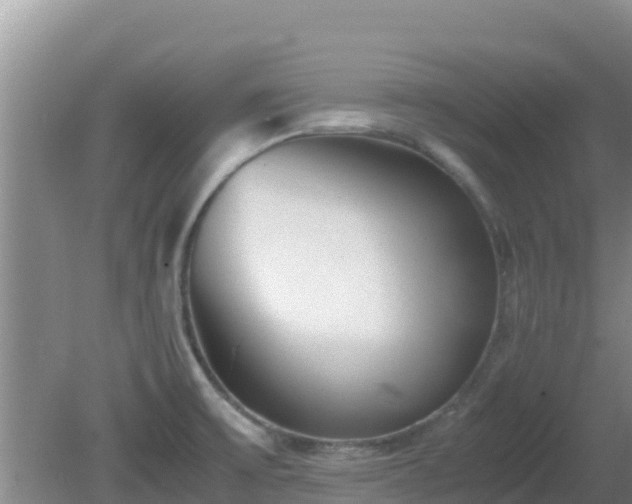 X0000081351475200701182034