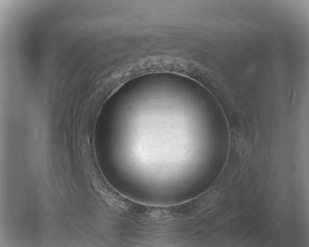X0000081351489200701182033