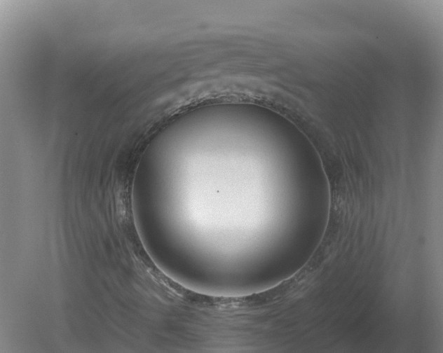 X0000081351490200701182033