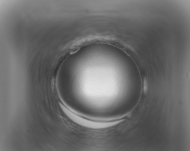 X0000081351492200701182033