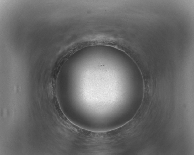 X0000081351493200701182033