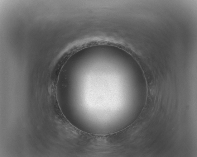 X0000081351495200701182033