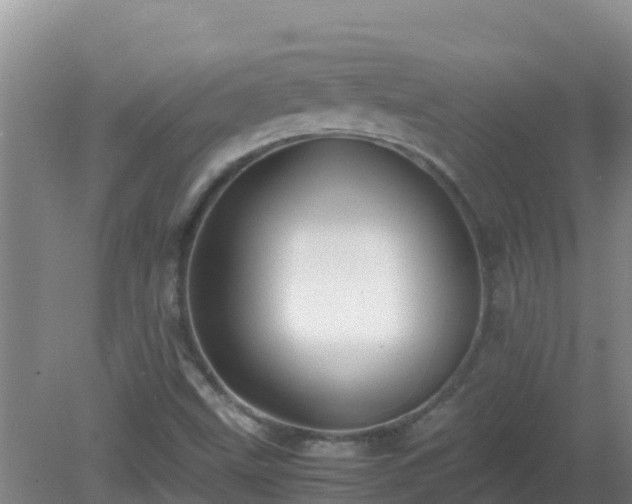 X0000081351499200701182033