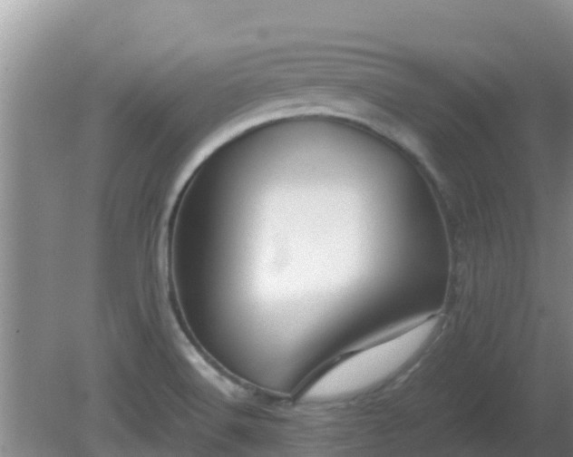 X0000081351516200701182033