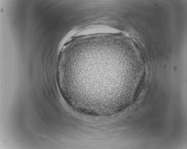 X0000081350003200701251935