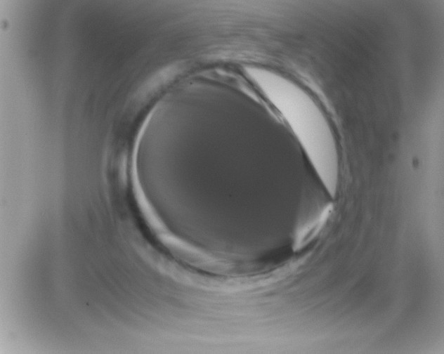 X0000081350019200701251935