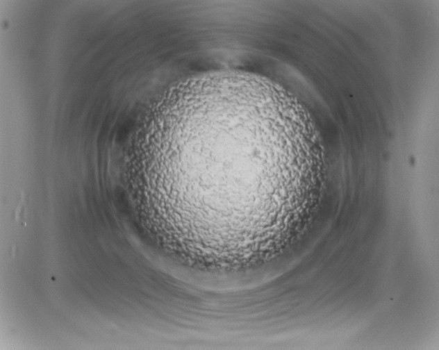 X0000081350030200701251935