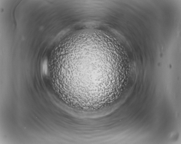 X0000081350046200701251935