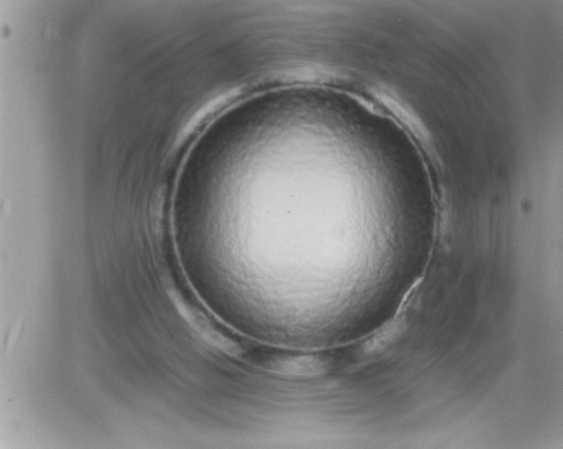 X0000081350058200701251934