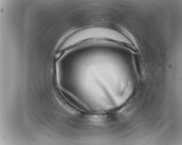 X0000081350059200701251934