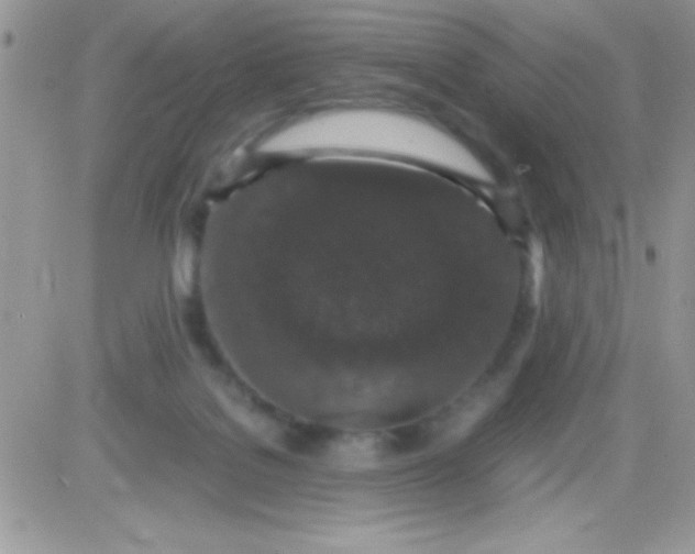 X0000081350076200701251934