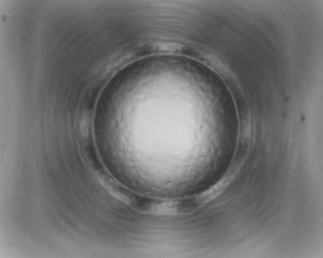X0000081350078200701251934