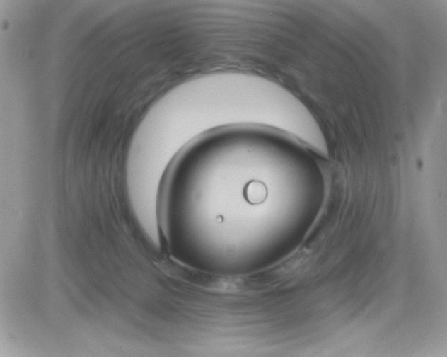 X0000081350080200701251934