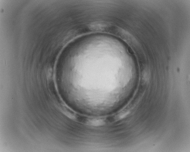 X0000081350081200701251935
