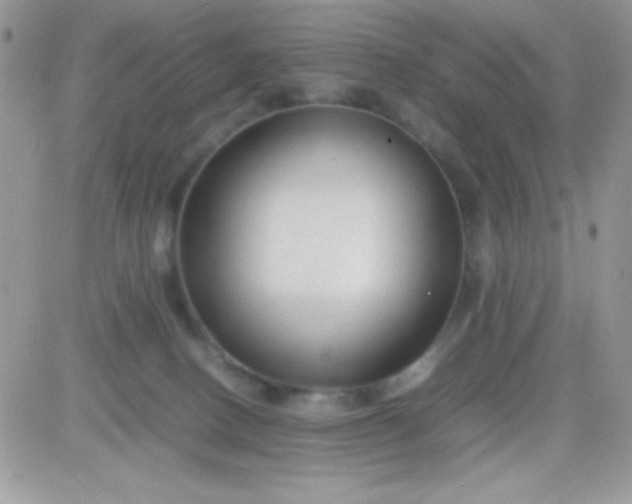 X0000081350082200701251935