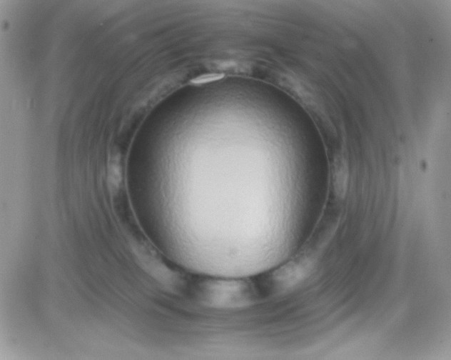 X0000081350085200701251935