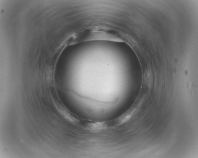 X0000081350092200701251935