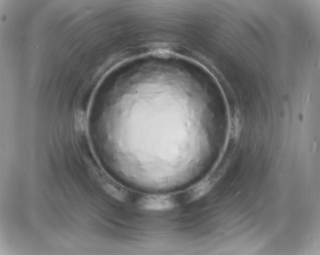 X0000081350093200701251935