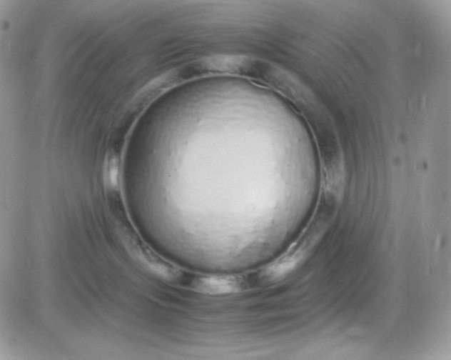 X0000081350095200701251935