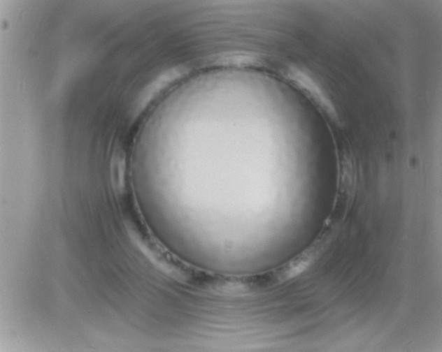 X0000081350110200701251934