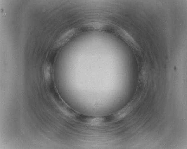 X0000081350122200701251933
