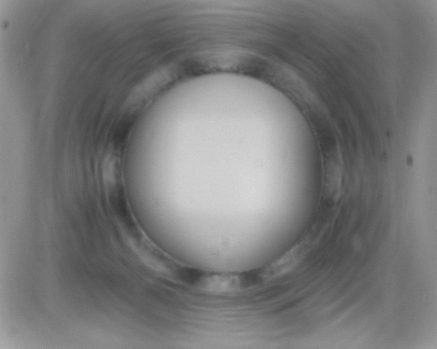 X0000081350126200701251933