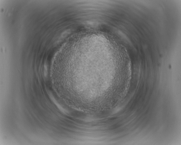 X0000081350130200701251933