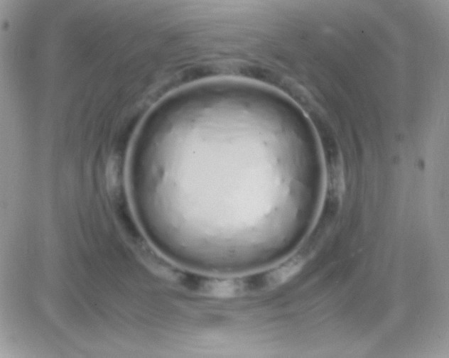 X0000081350131200701251933