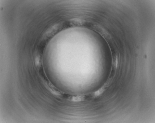 X0000081350134200701251933