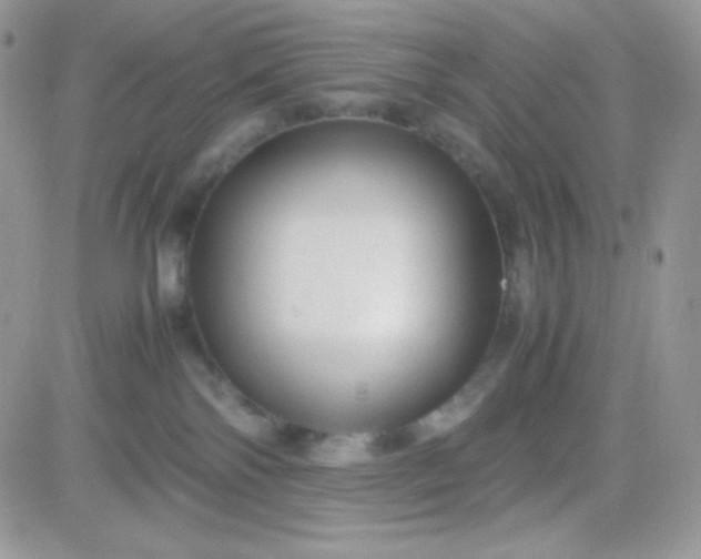 X0000081350138200701251933