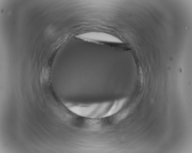 X0000081350139200701251933